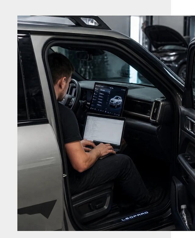 Русификация BYD Leopard 3 в Видном по цене от 20597 р. | ФастМобиль-Вдн